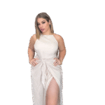 Picture perfect mini dress